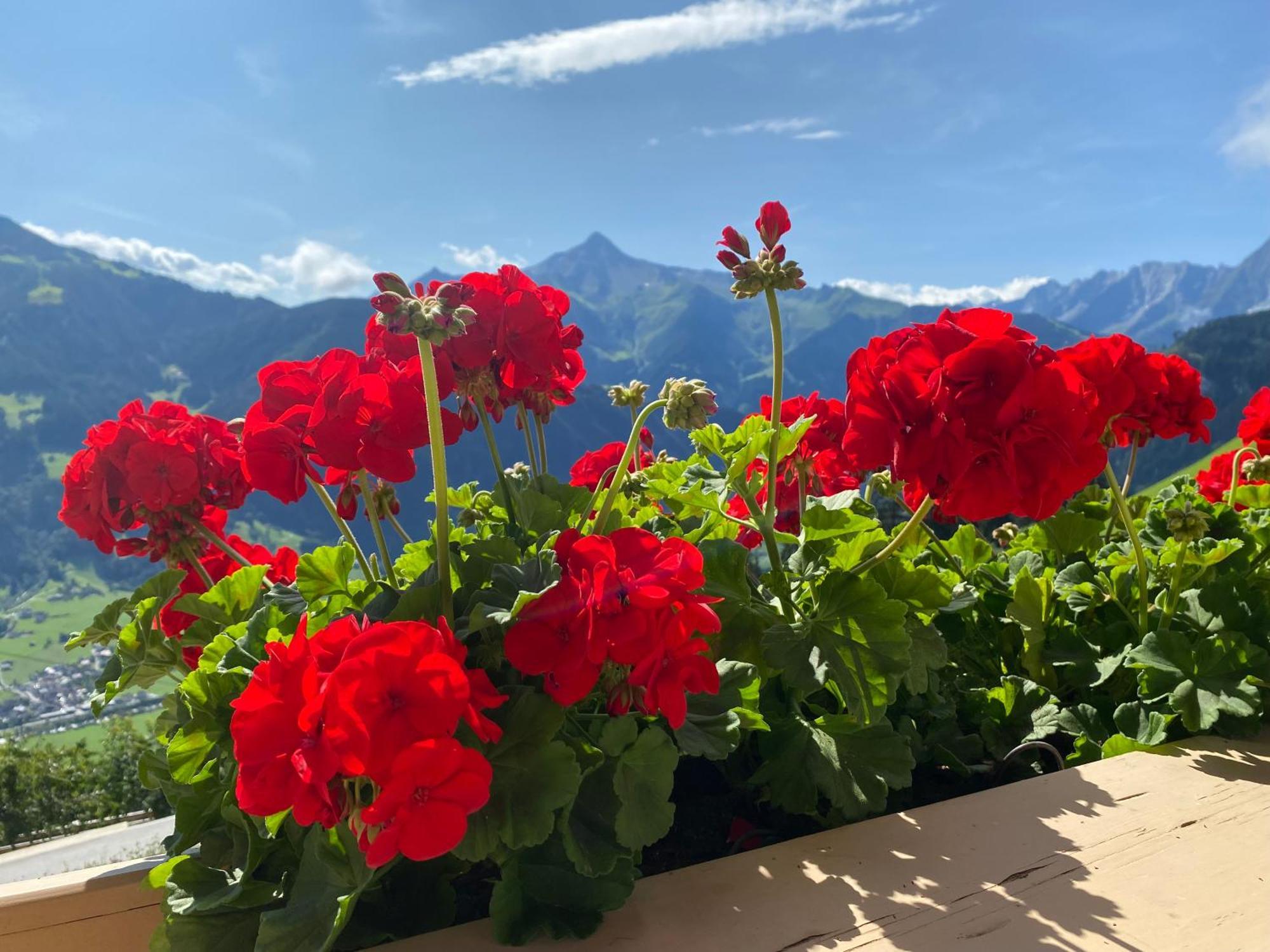 Ferienhaus Johanna In Mayrhofen-Hippach- Naehe Der Skipiste Ngoại thất bức ảnh